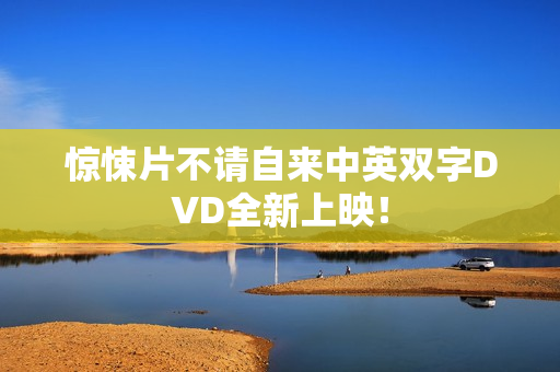 惊悚片不请自来中英双字DVD全新上映！