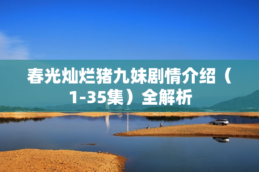 春光灿烂猪九妹剧情介绍（1-35集）全解析