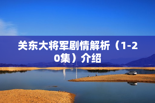关东大将军剧情解析（1-20集）介绍