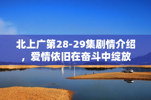 北上广第28-29集剧情介绍，爱情依旧在奋斗中绽放