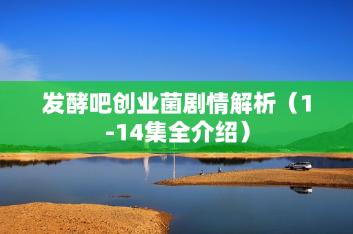 发酵吧创业菌剧情解析（1-14集全介绍）