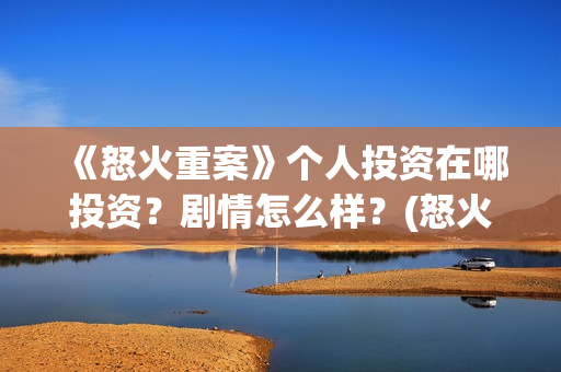 《怒火重案》个人投资在哪投资？剧情怎么样？(怒火重案太燃了)