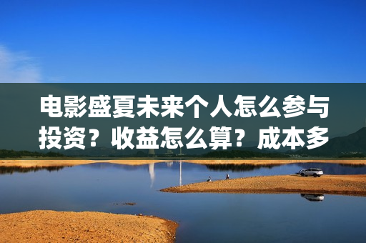 电影盛夏未来个人怎么参与投资？收益怎么算？成本多少？(《盛夏未来》电影)