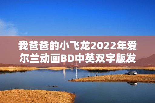 我爸爸的小飞龙2022年爱尔兰动画BD中英双字版发布