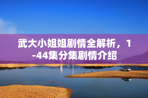 武大小姐姐剧情全解析，1-44集分集剧情介绍