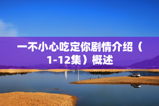 一不小心吃定你剧情介绍（1-12集）概述