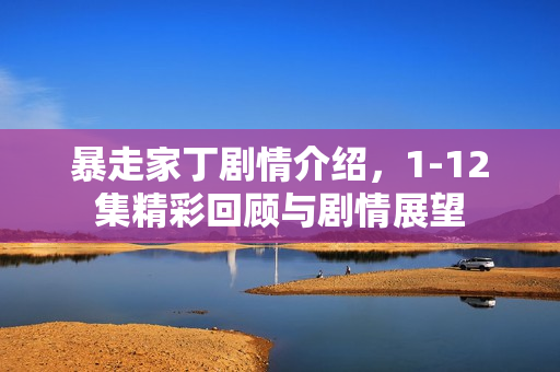 暴走家丁剧情介绍，1-12集精彩回顾与剧情展望