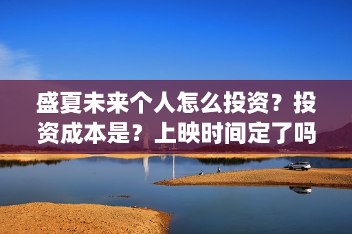 盛夏未来个人怎么投资？投资成本是？上映时间定了吗？(盛夏未来hey siri)