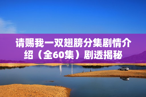 请赐我一双翅膀分集剧情介绍(全60集)剧透揭秘 请赐我一双翅膀分集剧情介绍(全60集)剧透揭秘