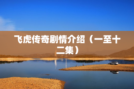 飞虎传奇剧情介绍（一至十二集）