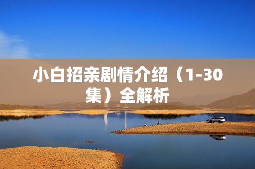 小白招亲剧情介绍（1-30集）全解析