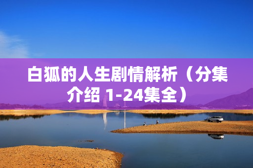 白狐的人生剧情解析（分集介绍 1-24集全）