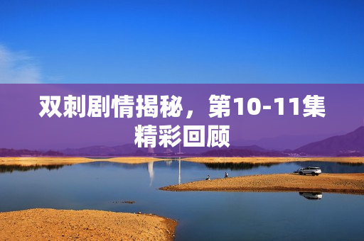 双刺剧情揭秘，第10-11集精彩回顾