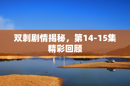 双刺剧情揭秘，第14-15集精彩回顾