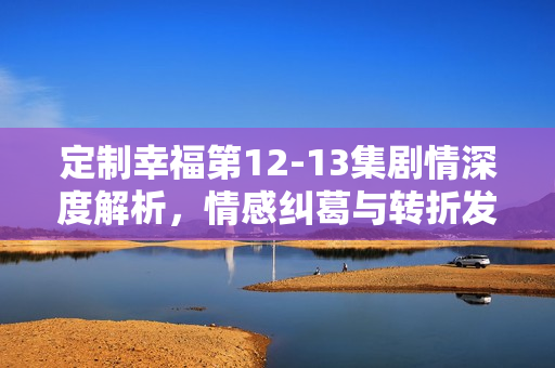 定制幸福第12-13集剧情深度解析，情感纠葛与转折发展