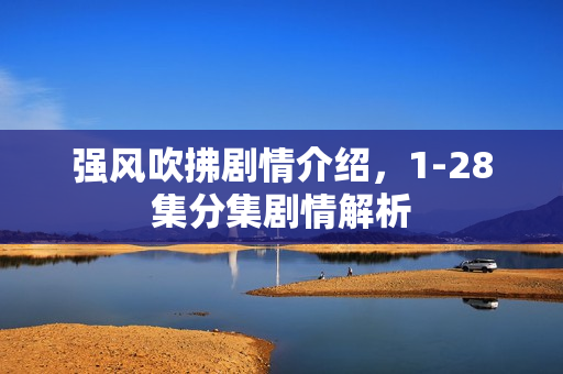 强风吹拂剧情介绍，1-28集分集剧情解析