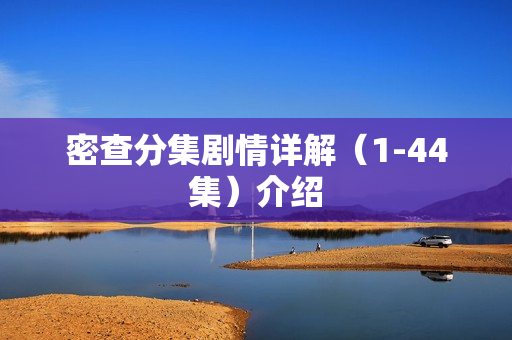 密查分集剧情详解（1-44集）介绍