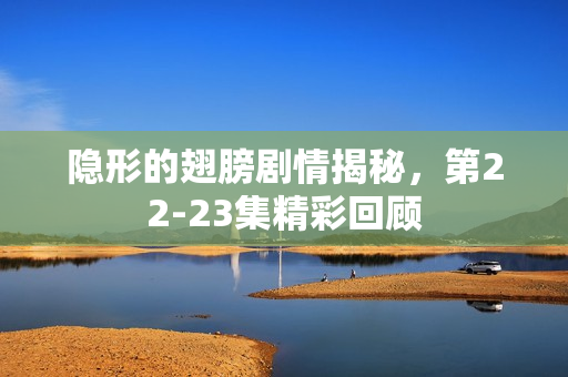 隐形的翅膀剧情揭秘，第22-23集精彩回顾