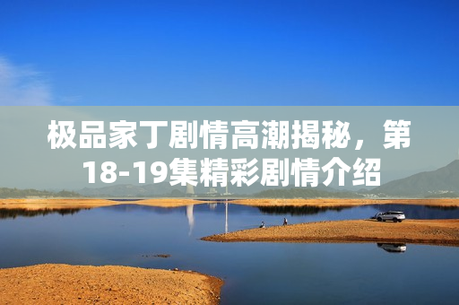 极品家丁剧情高潮揭秘，第18-19集精彩剧情介绍