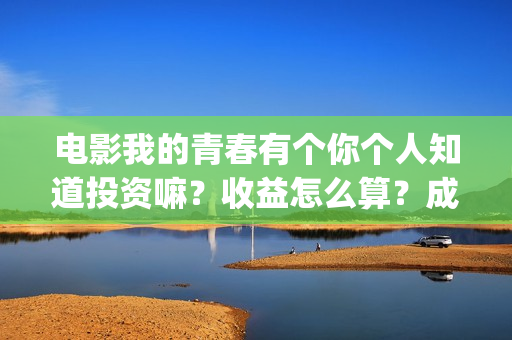 电影我的青春有个你个人知道投资嘛？收益怎么算？成本多少？(我的青春有_)