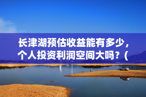 长津湖预估收益能有多少，个人投资利润空间大吗？(长津湖利好)