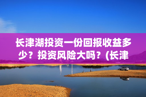 长津湖投资一份回报收益多少？投资风险大吗？(长津湖最大投资方)