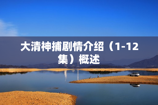 大清神捕剧情介绍（1-12集）概述