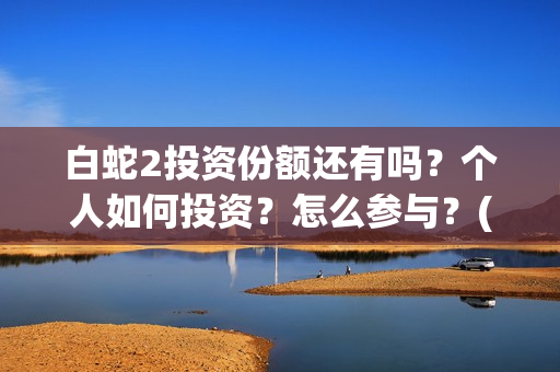 白蛇2投资份额还有吗？个人如何投资？怎么参与？(白蛇2亏本了吗)