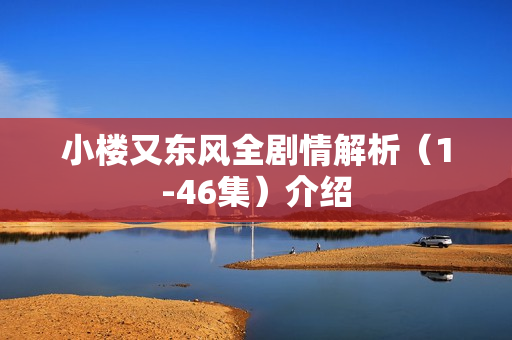 小楼又东风全剧情解析（1-46集）介绍