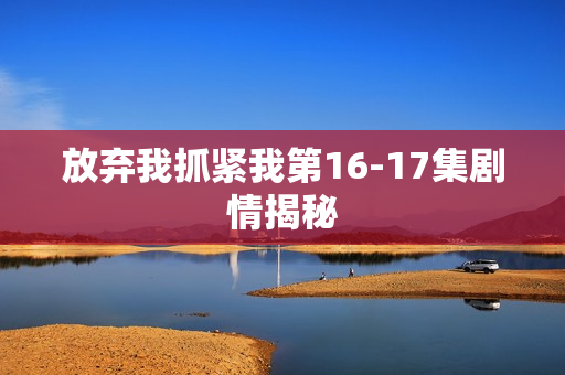 放弃我抓紧我第16-17集剧情揭秘