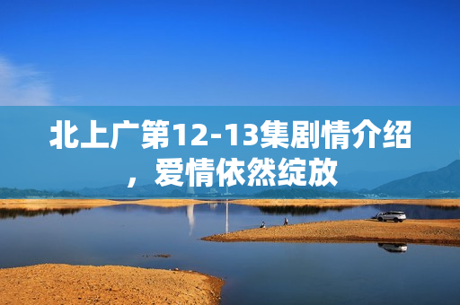 北上广第12-13集剧情介绍，爱情依然绽放