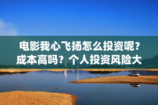 电影我心飞扬怎么投资呢？成本高吗？个人投资风险大吗？门槛多少？(我心飞扬导演)
