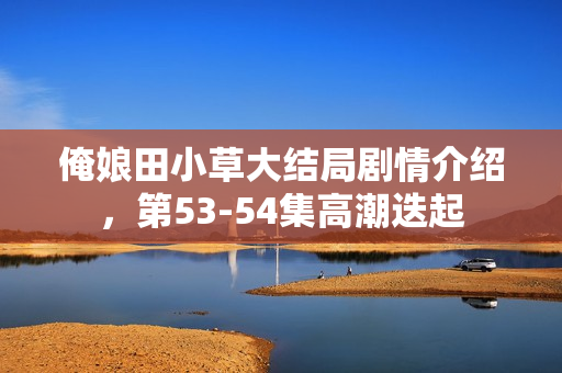 俺娘田小草大结局剧情介绍，第53-54集高潮迭起