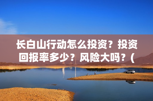 长白山行动怎么投资？投资回报率多少？风险大吗？(长白山行动投资)