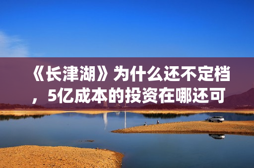 《长津湖》为什么还不定档，5亿成本的投资在哪还可以投资？(长津湖为什么没有朝鲜士兵)