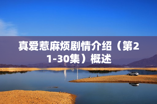 真爱惹麻烦剧情介绍(第21-30集)概述 真爱惹麻烦剧情介绍(第21-30集)概述