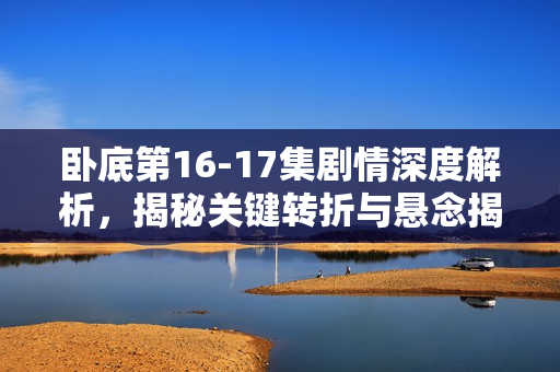 卧底第16-17集剧情深度解析，揭秘关键转折与悬念揭晓