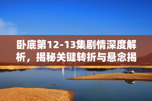 卧底第12-13集剧情深度解析，揭秘关键转折与悬念揭晓