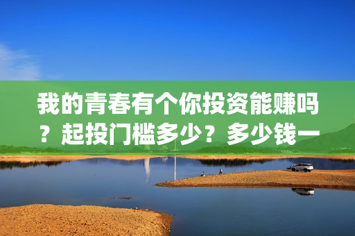 我的青春有个你投资能赚吗？起投门槛多少？多少钱一份？(我的青春有个你结局)