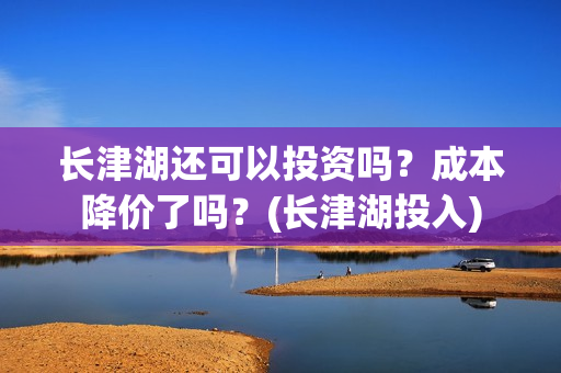 长津湖还可以投资吗？成本降价了吗？(长津湖投入)