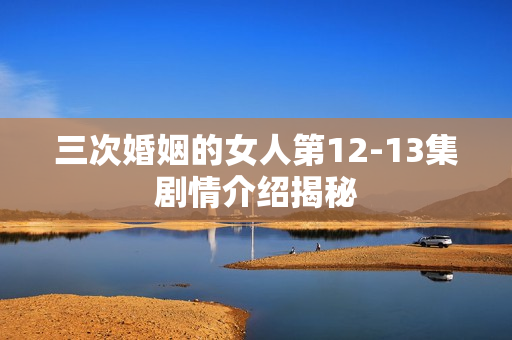 三次婚姻的女人第12-13集剧情介绍揭秘
