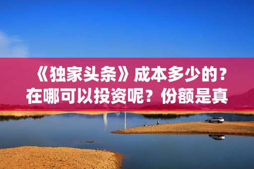 《独家头条》成本多少的？在哪可以投资呢？份额是真实的吗？(电影独家头条讲了个啥)
