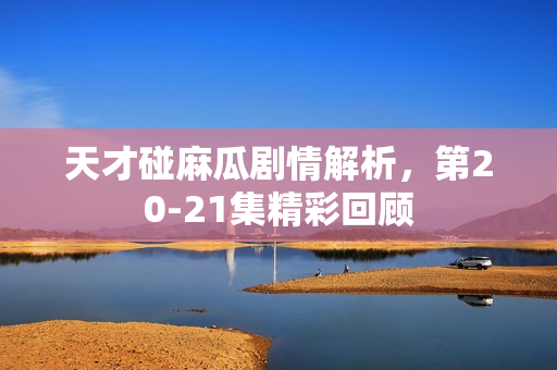 天才碰麻瓜剧情解析，第20-21集精彩回顾