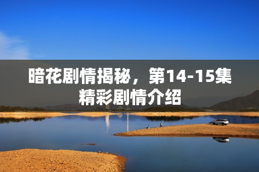 暗花剧情揭秘，第14-15集精彩剧情介绍