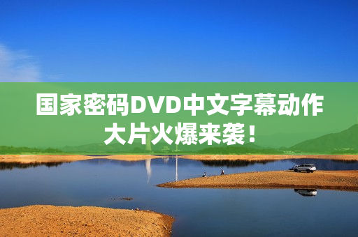 国家密码DVD中文字幕动作大片火爆来袭！