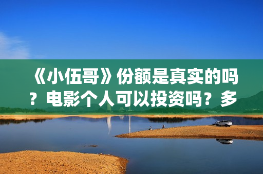 《小伍哥》份额是真实的吗？电影个人可以投资吗？多少起投呢？(小伍哥预计上映时间)