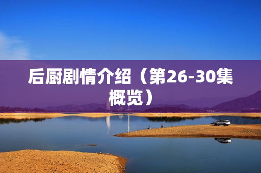 后厨剧情介绍（第26-30集概览）