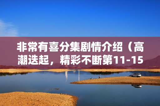 非常有喜分集剧情介绍（高潮迭起，精彩不断第11-15集）