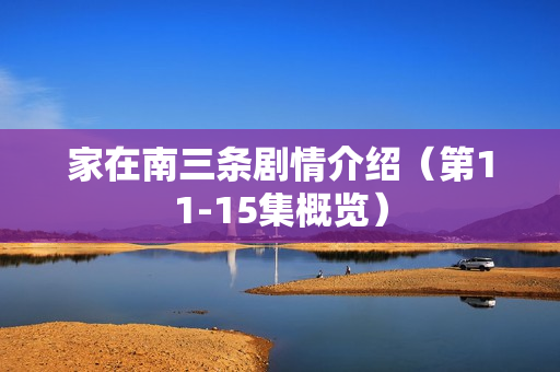 家在南三条剧情介绍（第11-15集概览）