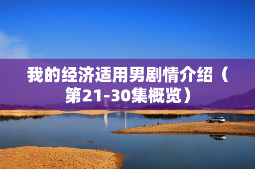 我的经济适用男剧情介绍（第21-30集概览）